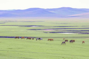 优德88(中国区)最新官方网站