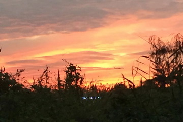 优德88(中国区)最新官方网站