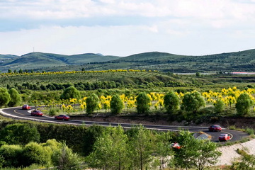 优德88(中国区)最新官方网站