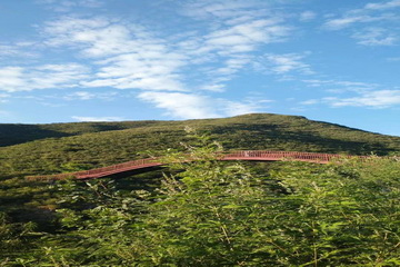 优德88(中国区)最新官方网站