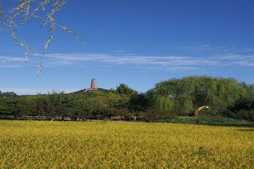 优德88(中国区)最新官方网站