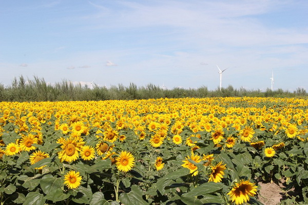 优德88(中国区)最新官方网站