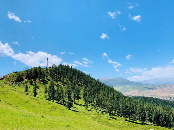 优德88(中国区)最新官方网站