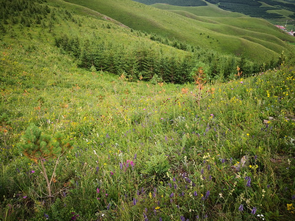 优德88(中国区)最新官方网站