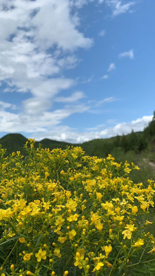 优德88(中国区)最新官方网站