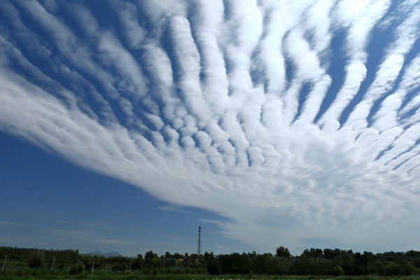 优德88(中国区)最新官方网站