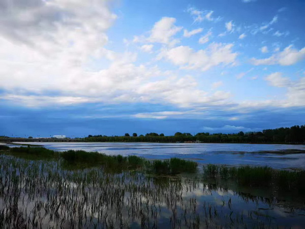 优德88(中国区)最新官方网站