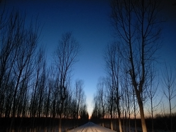 优德88(中国区)最新官方网站