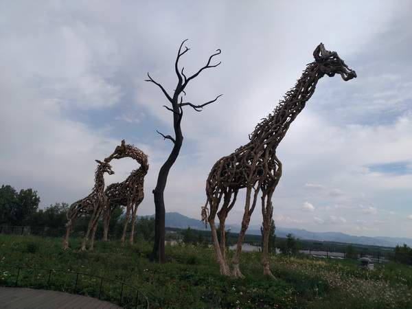 优德88(中国区)最新官方网站