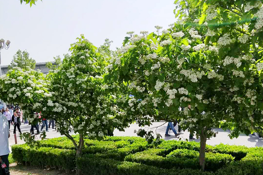 优德88(中国区)最新官方网站