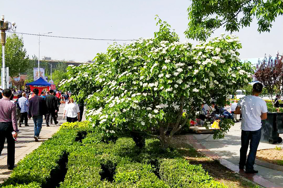 优德88(中国区)最新官方网站