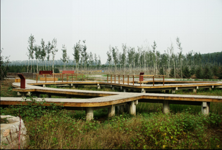 优德88(中国区)最新官方网站