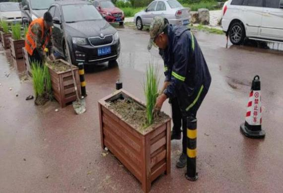 优德88(中国区)最新官方网站