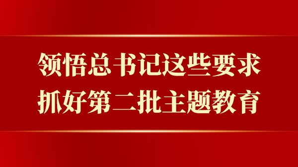 意会总书记这些要求，，，，，，，抓好第二批主题教育